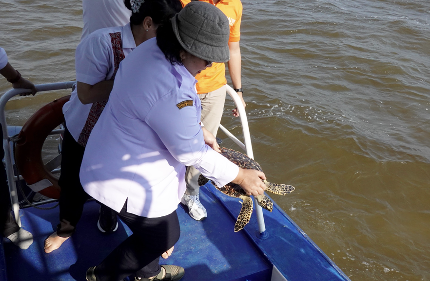 Tersangkut Jaring Nelayan,  Seekor Penyu Sisik Berhasil Diantar “Pulang”